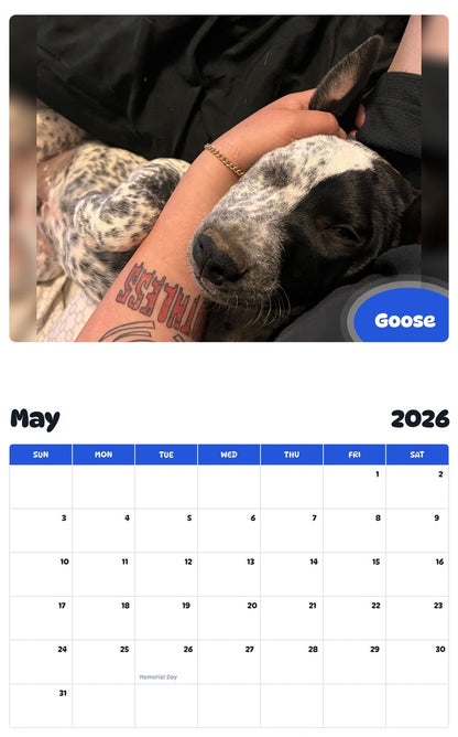2026 - 2027 Goose - Pawidols Pet Calendar
