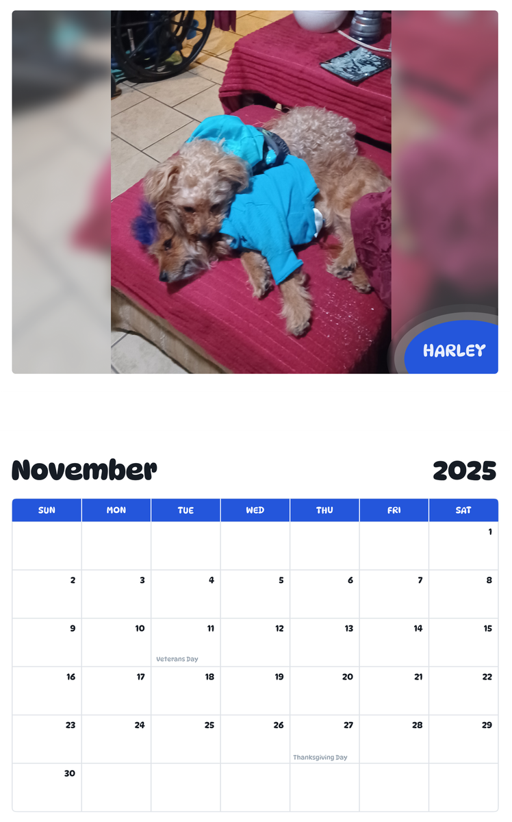 July 2025 - June 2026 Harley - Pawidols Pet Calendar