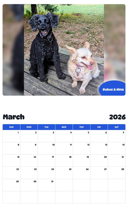 November 2025 - October 2026 Bubus & Nina - Pawidols Pet Calendar