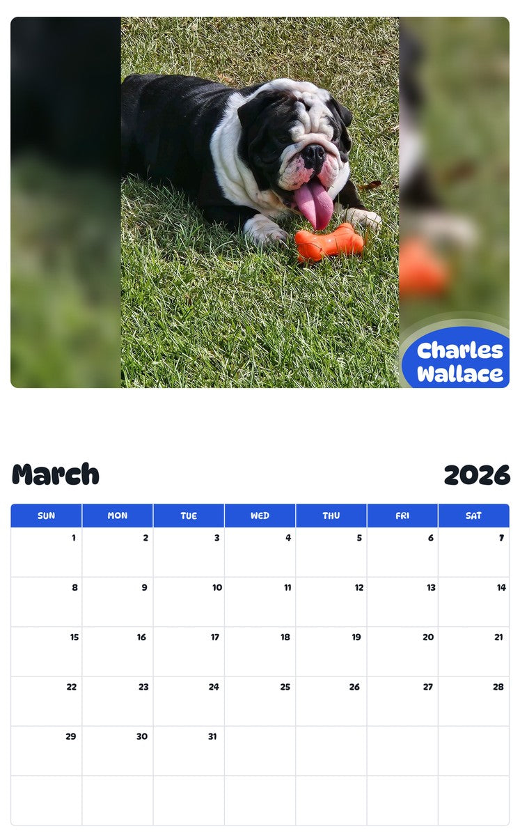 November 2025 - October 2026 Charles Wallace - Pawidols Pet Calendar