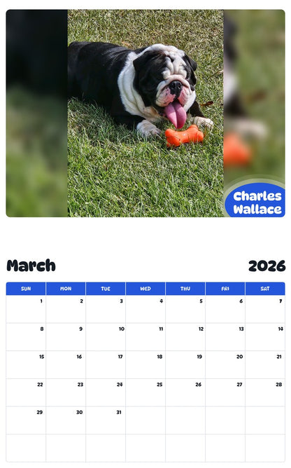 November 2025 - October 2026 Charles Wallace - Pawidols Pet Calendar