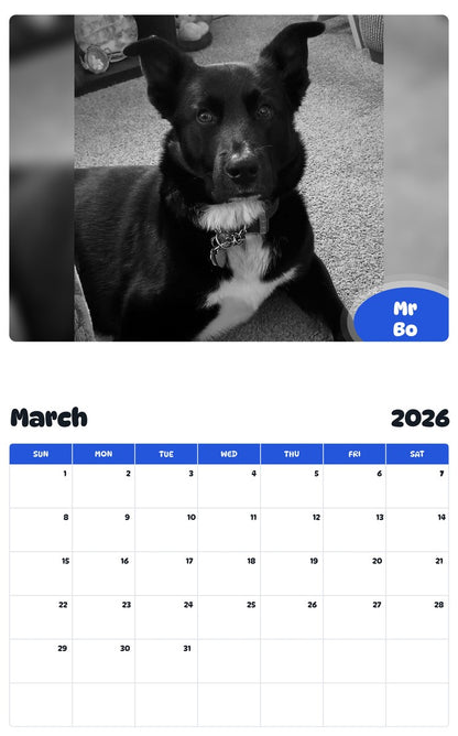 November 2025 - October 2026 Mr Bo - Pawidols Pet Calendar