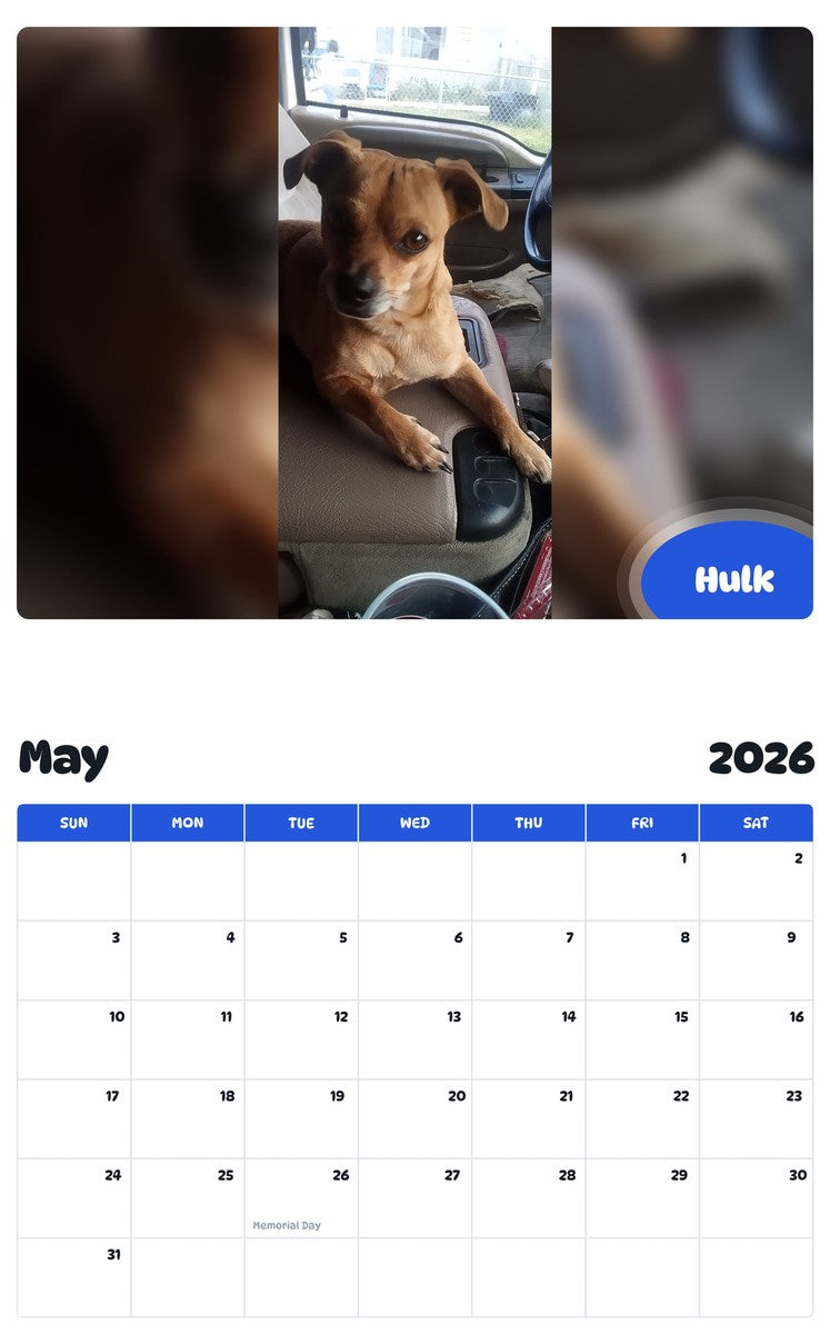 2026 - 2027 Hulk - Pawidols Pet Calendar