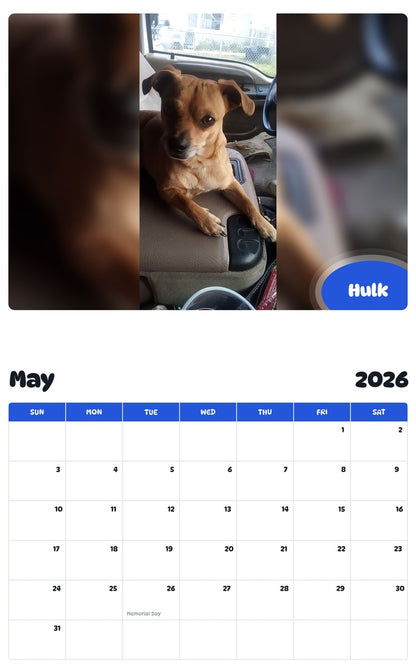 2026 - 2027 Hulk - Pawidols Pet Calendar