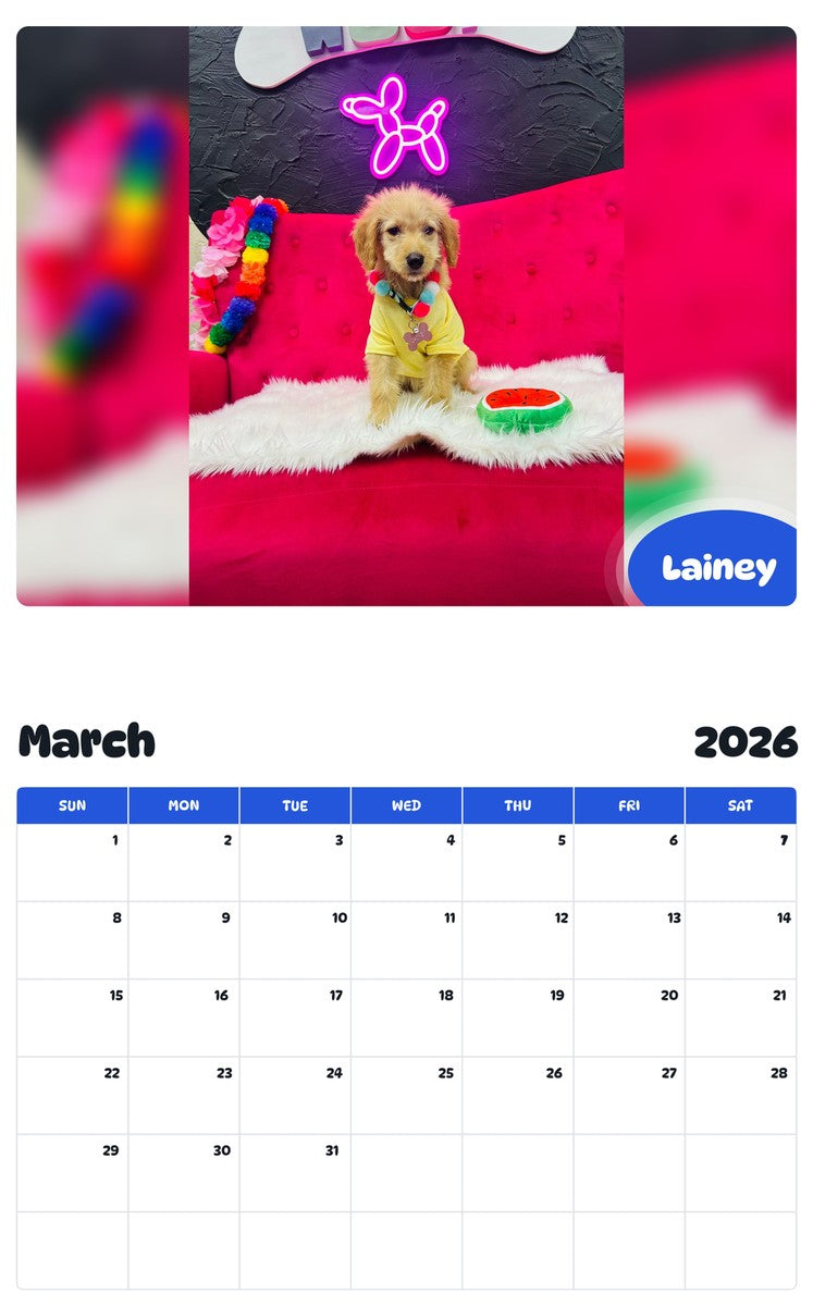 November 2025 - October 2026 Lainey - Pawidols Pet Calendar