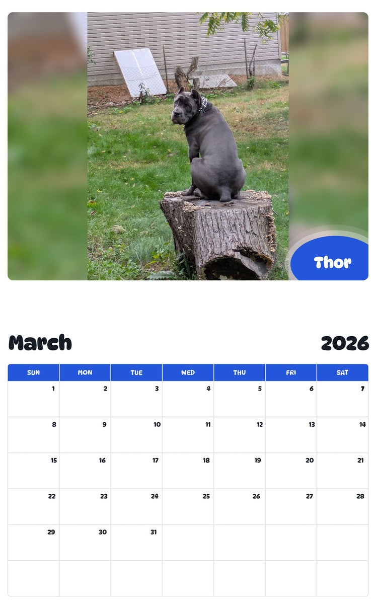 November 2025 - October 2026 Thor - Pawidols Pet Calendar