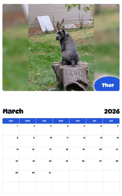 November 2025 - October 2026 Thor - Pawidols Pet Calendar