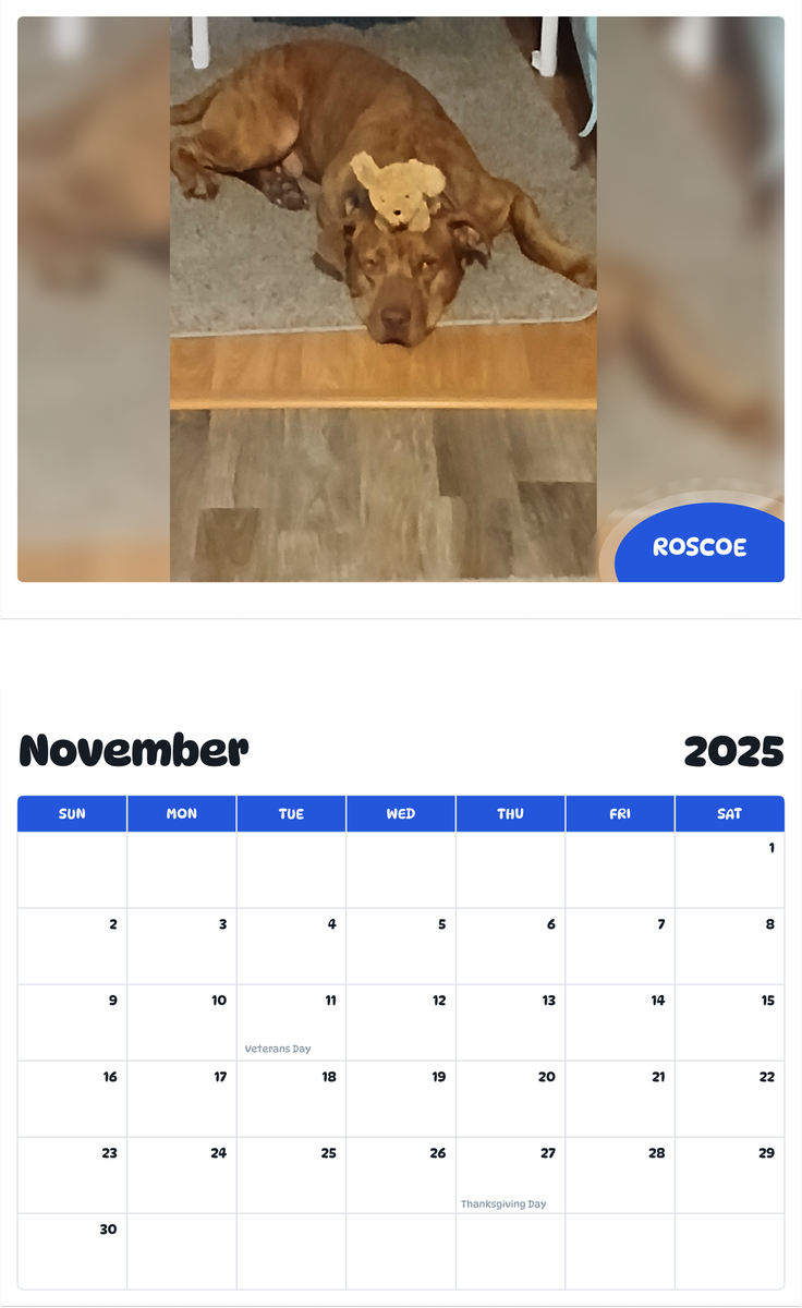 July 2025 - June 2026 Roscoe - Pawidols Pet Calendar