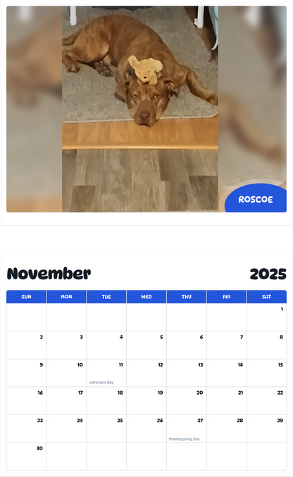 July 2025 - June 2026 Roscoe - Pawidols Pet Calendar