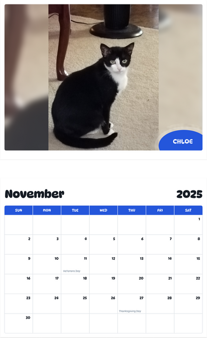 July 2025 - June 2026 Chloe - Pawidols Pet Calendar