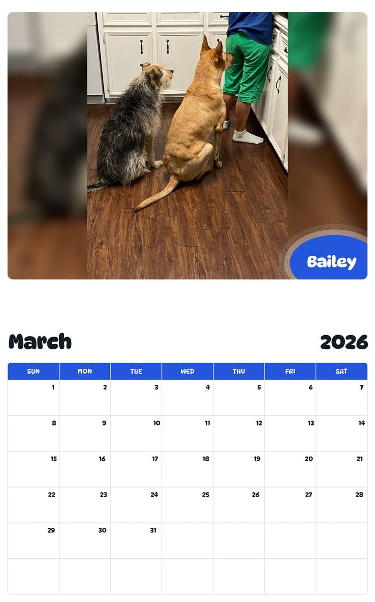 November 2025 - October 2026 Bailey - Pawidols Pet Calendar