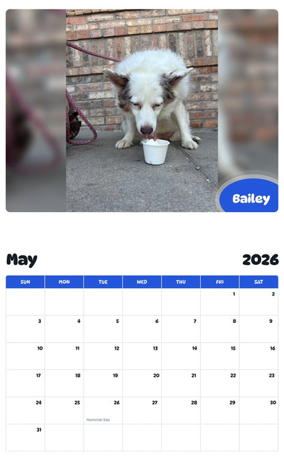 2026 - 2027 Bailey - Pawidols Pet Calendar