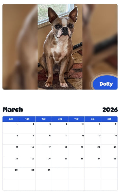 November 2025 - October 2026 Dolly - Pawidols Pet Calendar