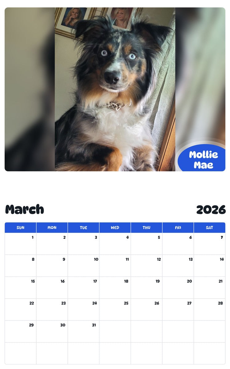 November 2025 - October 2026 Mollie Mae - Pawidols Pet Calendar