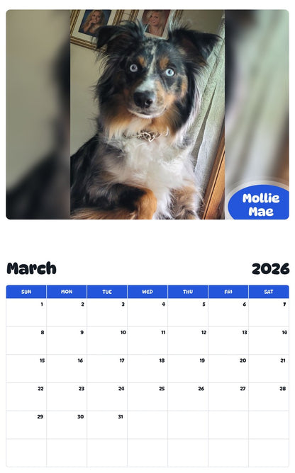 November 2025 - October 2026 Mollie Mae - Pawidols Pet Calendar