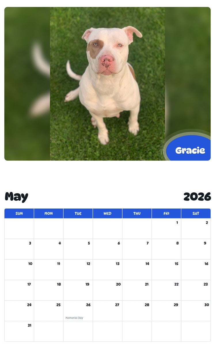 2026 - 2027 Gracie - Pawidols Pet Calendar
