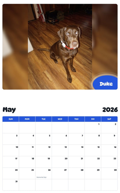 2026 - 2027 Duke - Pawidols Pet Calendar