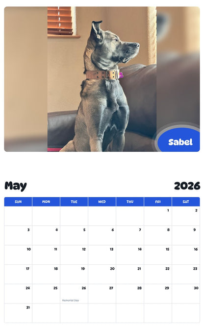 2026 - 2027 Sabel - Pawidols Pet Calendar