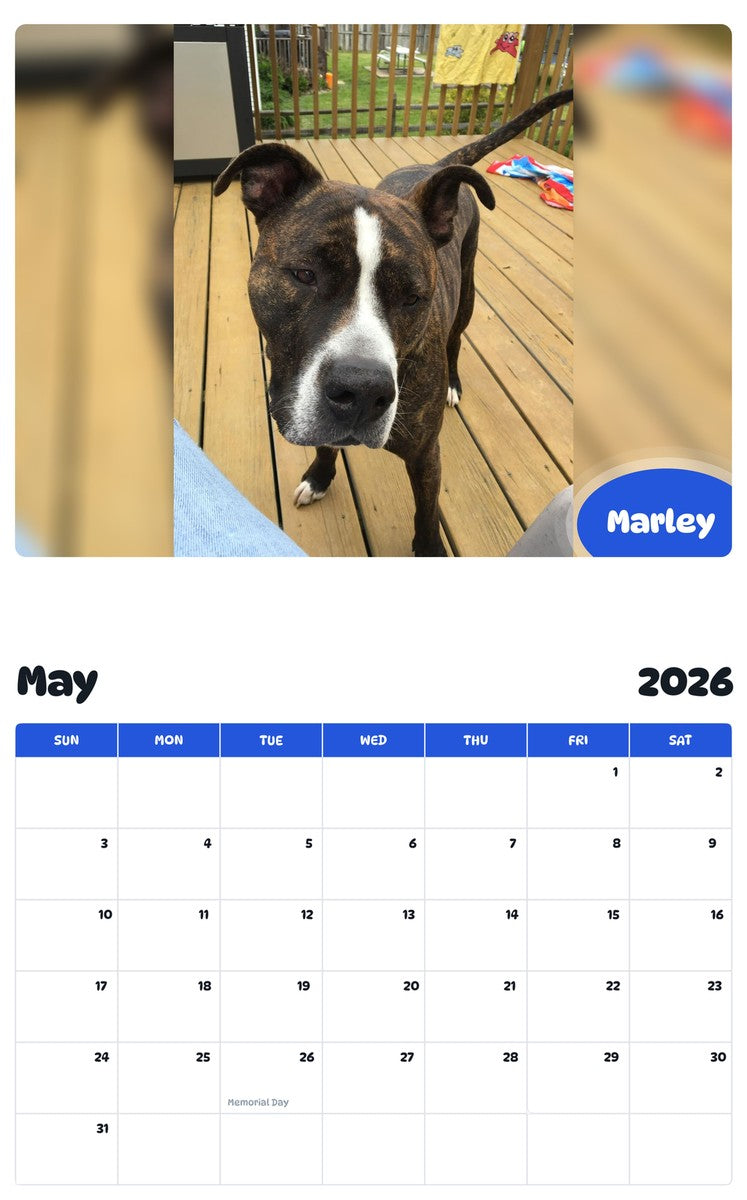 2026 - 2027 Marley - Pawidols Pet Calendar
