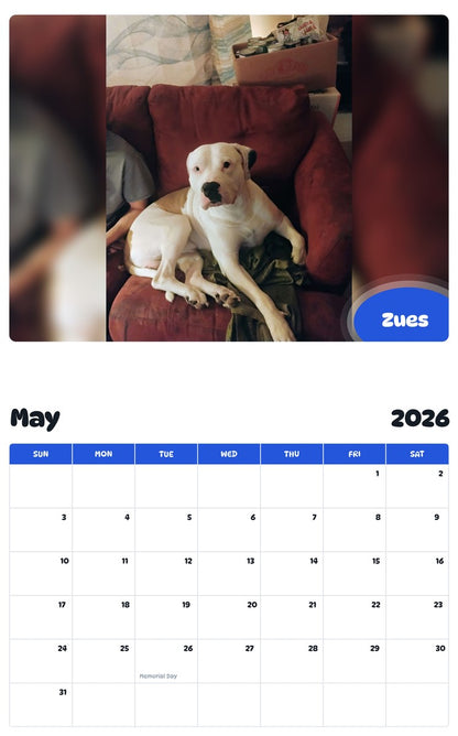 2026 - 2027 Zues - Pawidols Pet Calendar