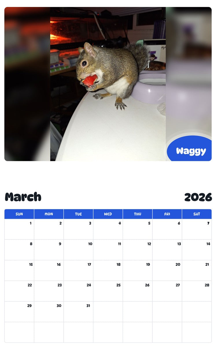 November 2025 - October 2026 Waggy - Pawidols Pet Calendar
