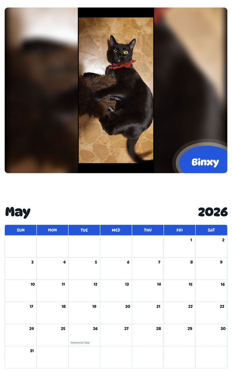 2026 - 2027 Binxy - Pawidols Pet Calendar