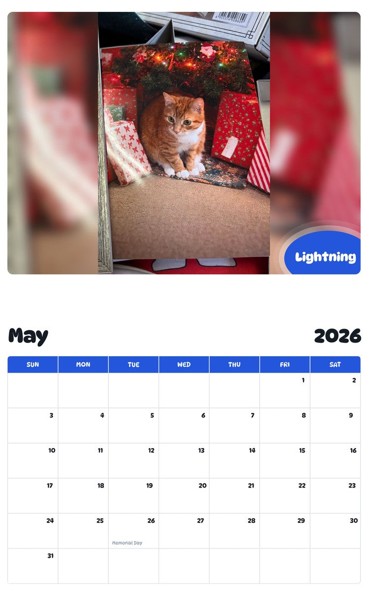 2026 - 2027 Lightning - Pawidols Pet Calendar
