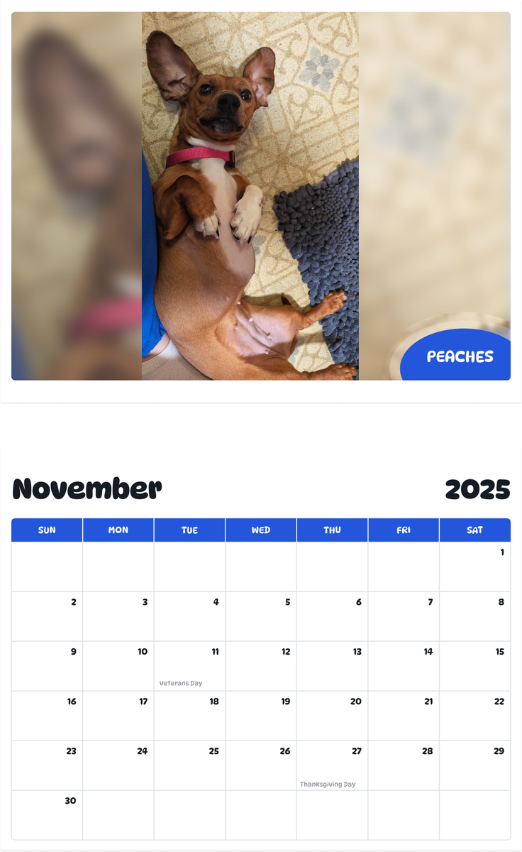 July 2025 - June 2026 Peaches - Pawidols Pet Calendar