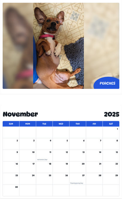 July 2025 - June 2026 Peaches - Pawidols Pet Calendar