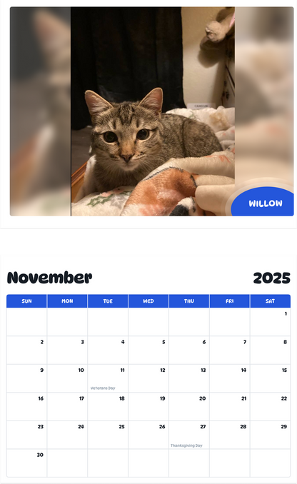 July 2025 - June 2026 Willow - Pawidols Pet Calendar