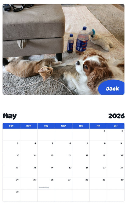 2026 - 2027 Jack - Pawidols Pet Calendar
