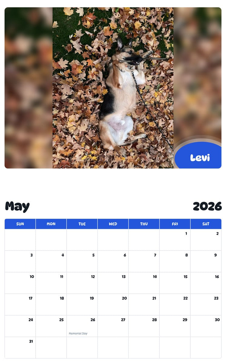 2026 - 2027 Levi - Pawidols Pet Calendar