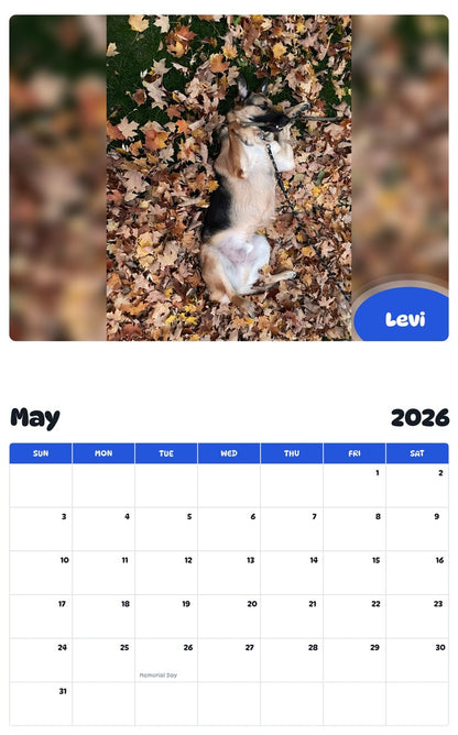 2026 - 2027 Levi - Pawidols Pet Calendar