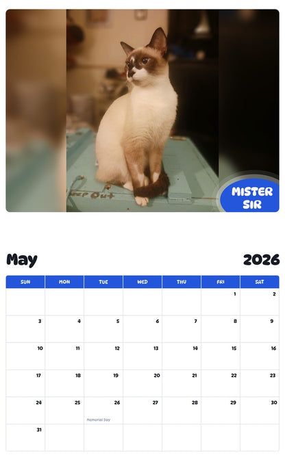 2026 - 2027 MISTER SIR - Pawidols Pet Calendar