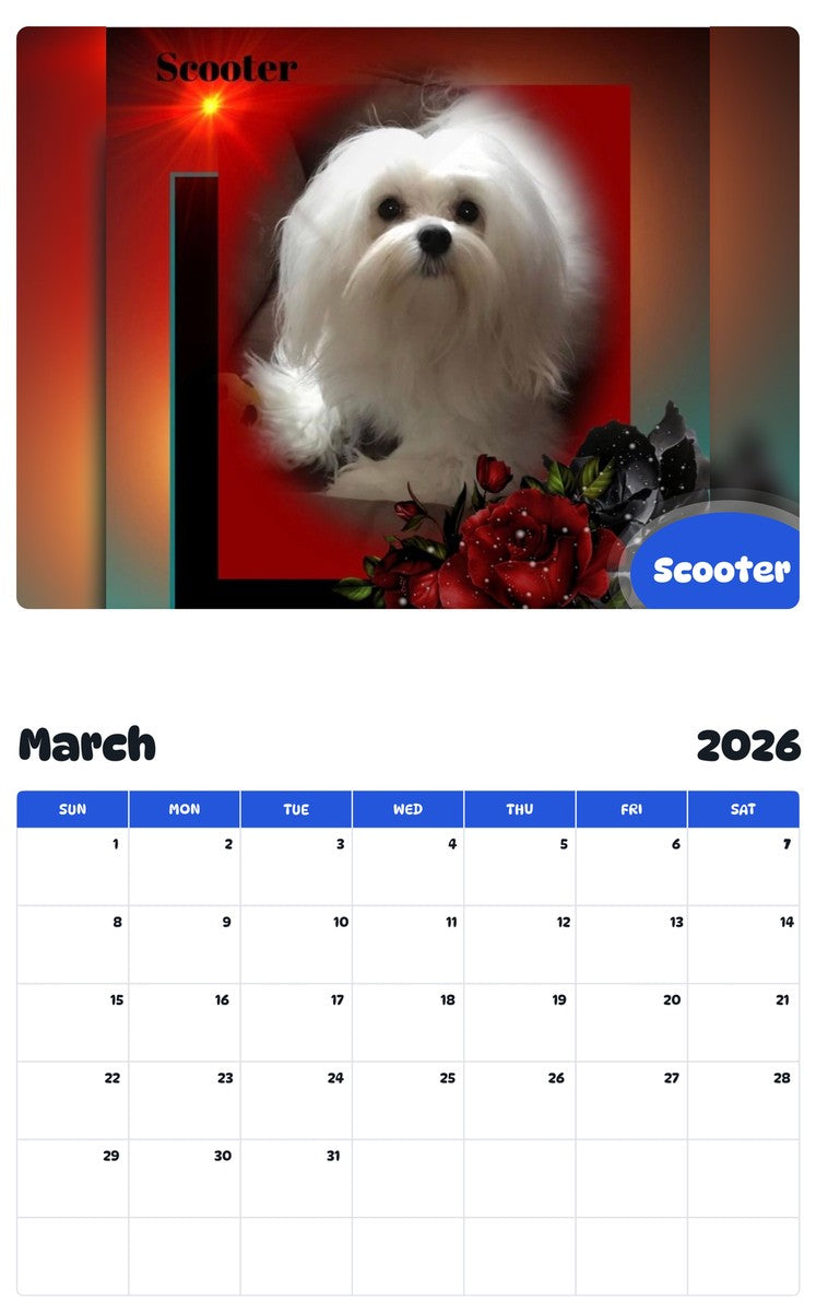 November 2025 - October 2026 Scooter - Pawidols Pet Calendar