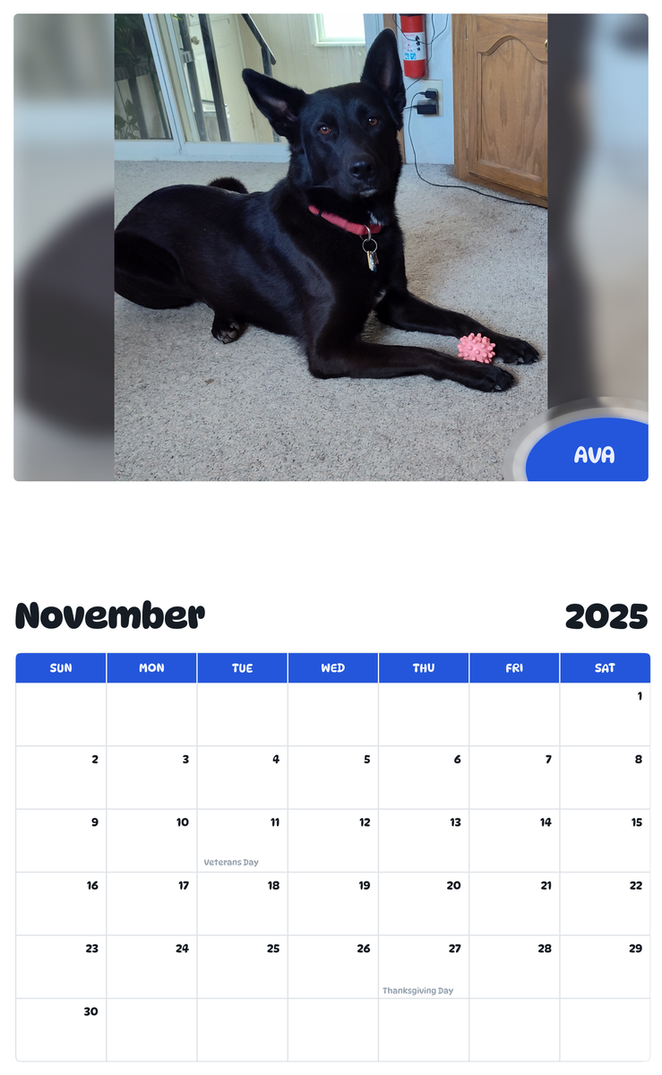 July 2025 - June 2026 AVA - Pawidols Pet Calendar