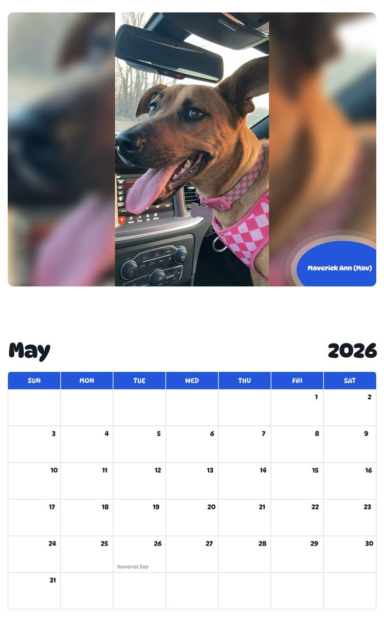 2026 - 2027 Maverick Ann (Mav) - Pawidols Pet Calendar