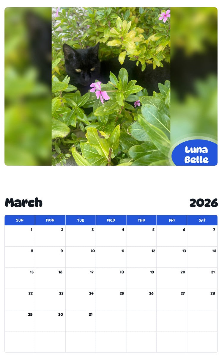 November 2025 - October 2026 Luna Belle - Pawidols Pet Calendar