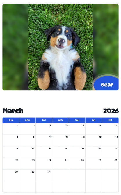 November 2025 - October 2026 Bear - Pawidols Pet Calendar
