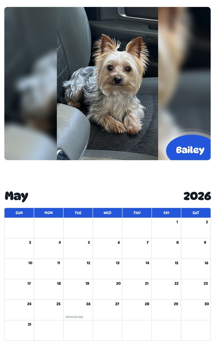 2026 - 2027 Bailey - Pawidols Pet Calendar