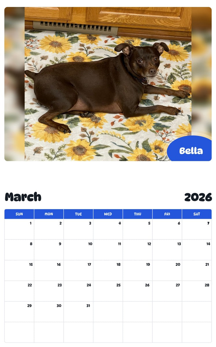 November 2025 - October 2026 Bella - Pawidols Pet Calendar