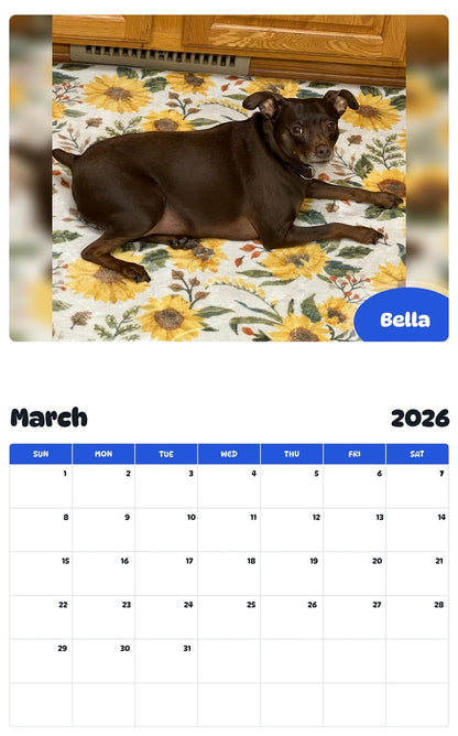 November 2025 - October 2026 Bella - Pawidols Pet Calendar