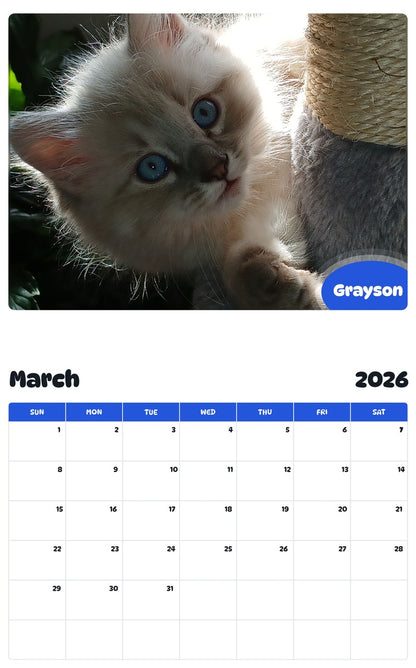 November 2025 - October 2026 Grayson - Pawidols Pet Calendar