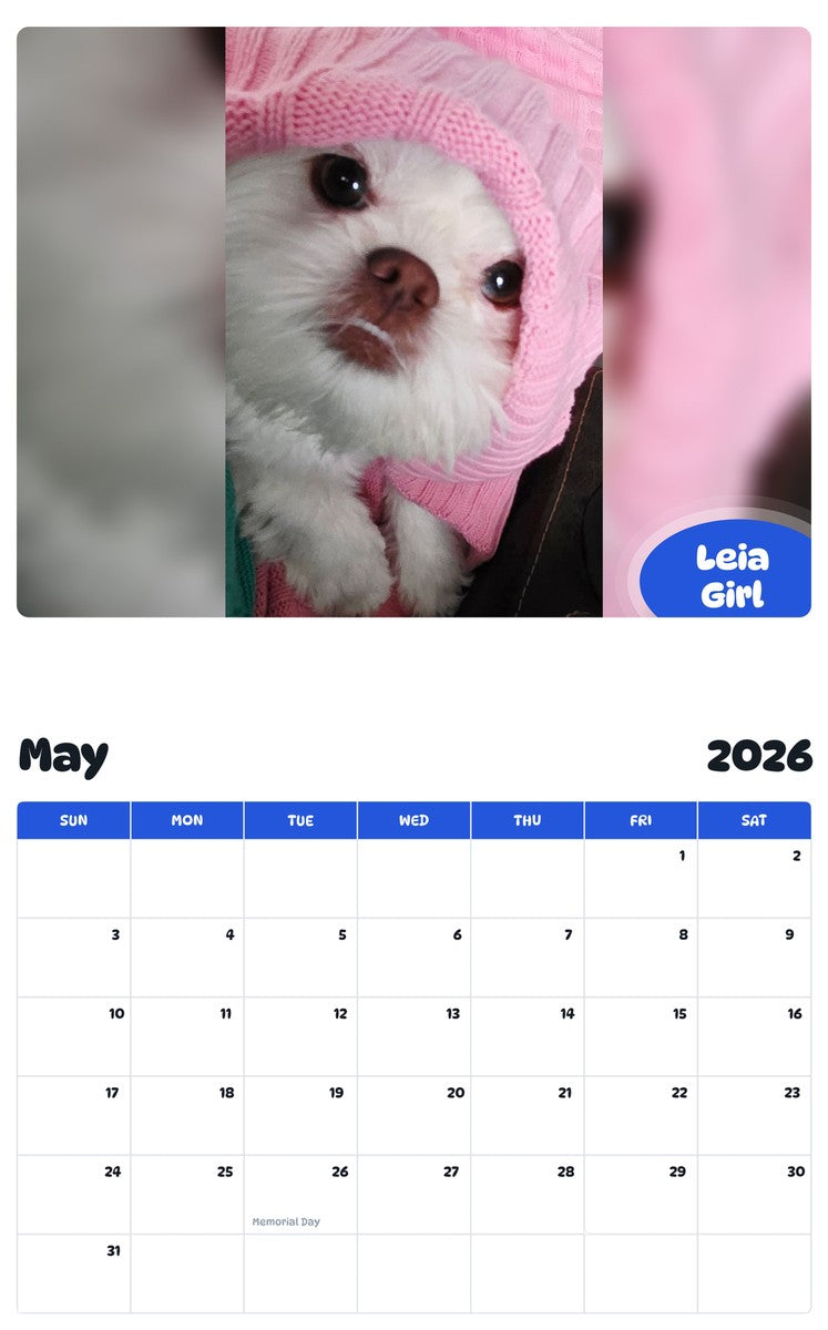 2026 - 2027 Leia Girl - Pawidols Pet Calendar