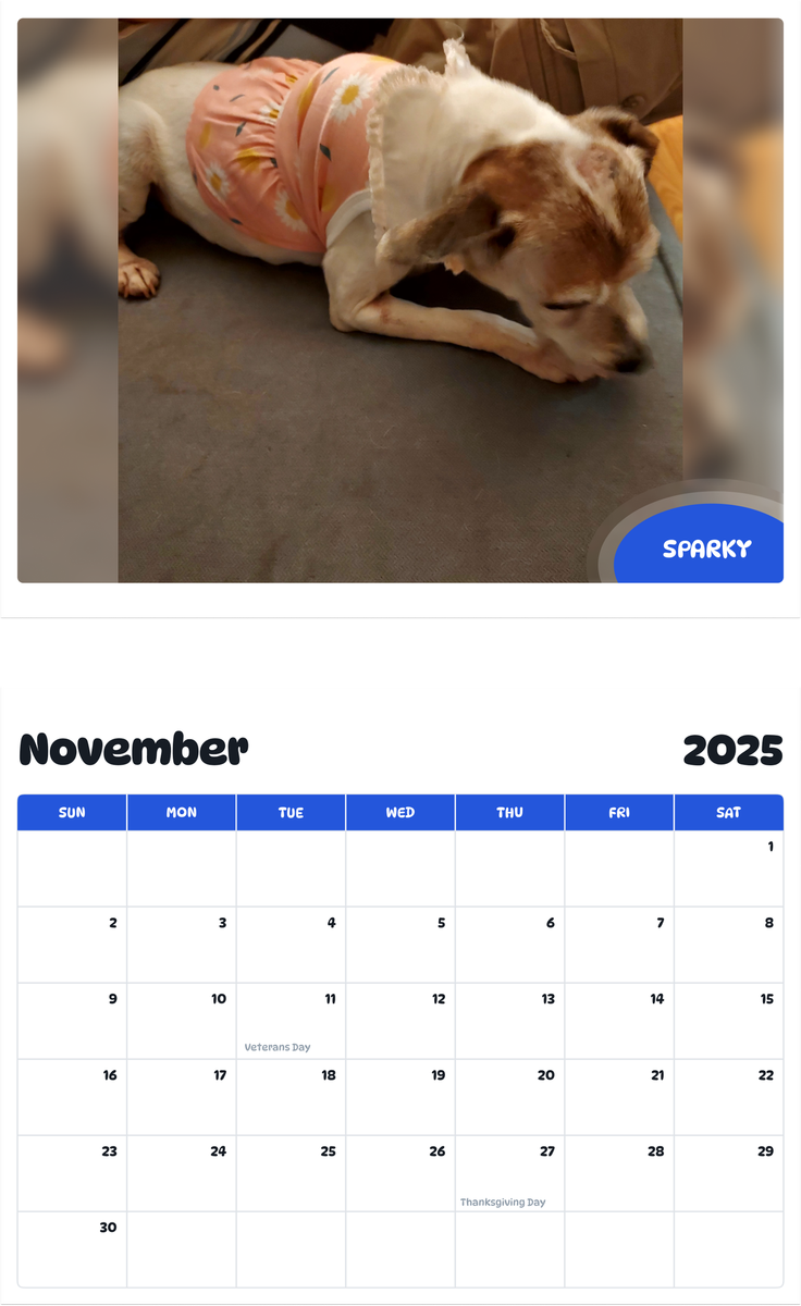 July 2025 - June 2026 Sparky - Pawidols Pet Calendar