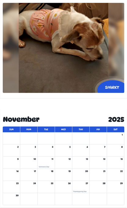July 2025 - June 2026 Sparky - Pawidols Pet Calendar