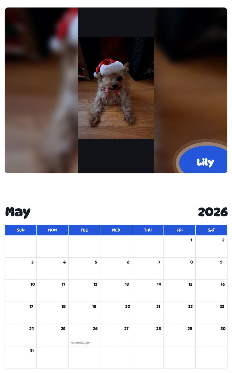 2026 - 2027 Lily - Pawidols Pet Calendar