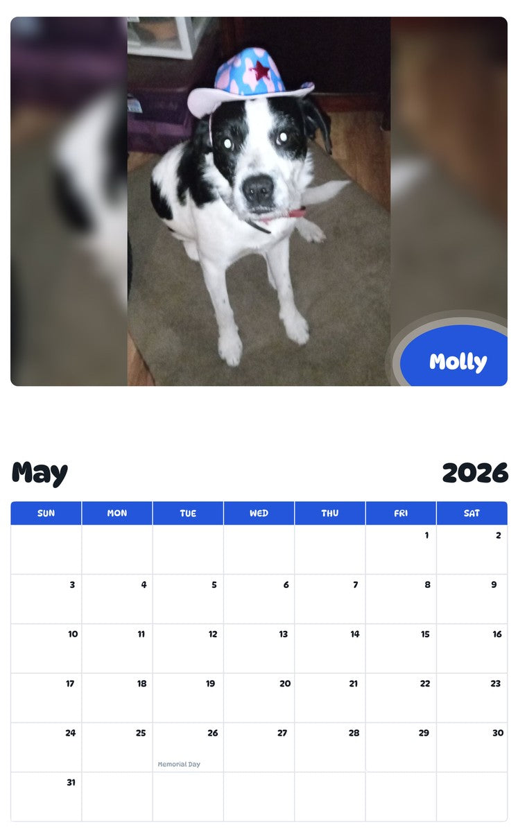 2026 - 2027 Molly - Pawidols Pet Calendar