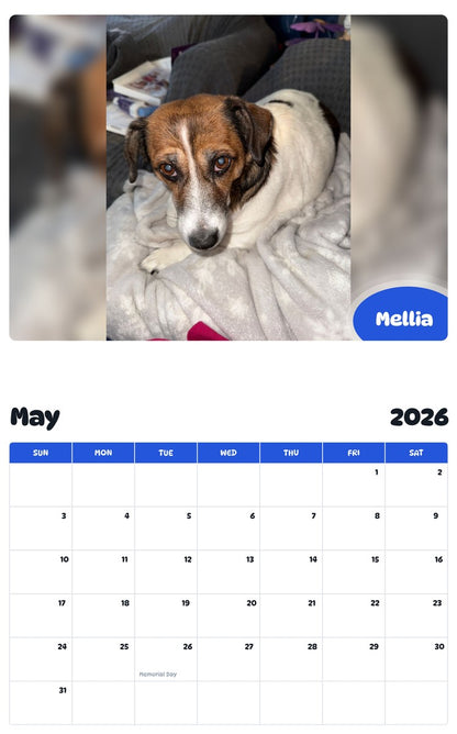 2026 - 2027 Mellia - Pawidols Pet Calendar