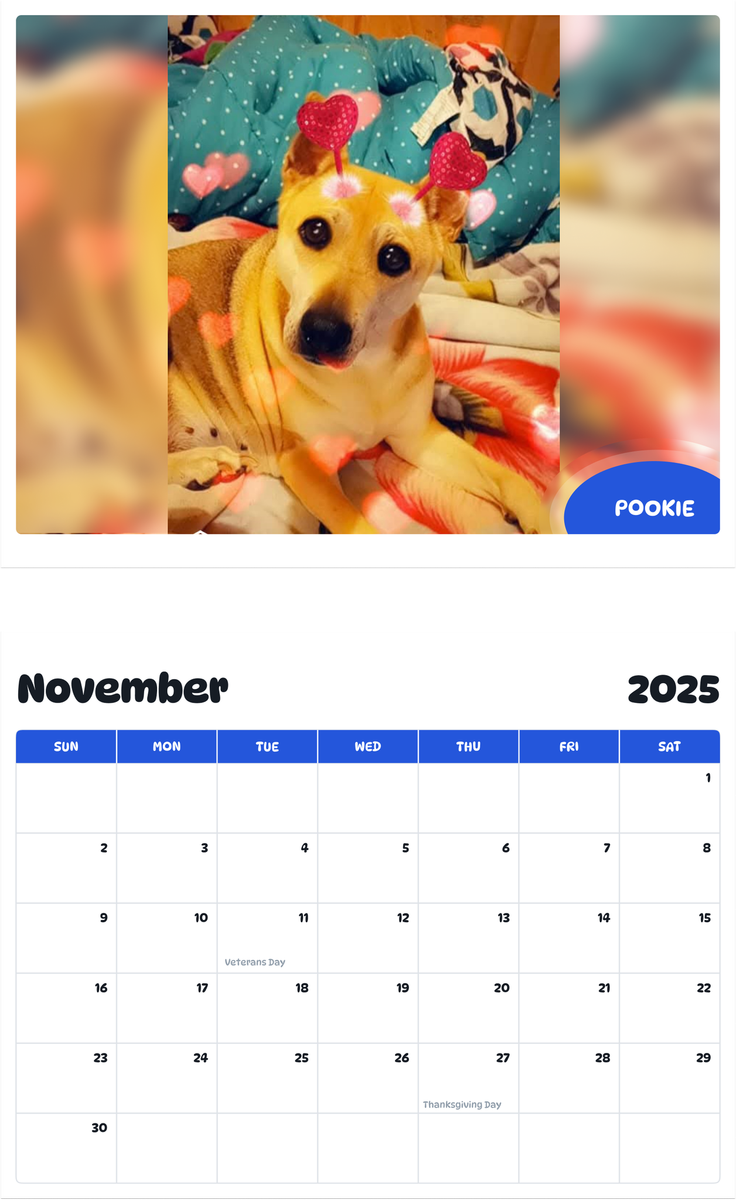 July 2025 - June 2026 Pookie - Pawidols Pet Calendar